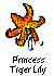 Princess Tiger Lily